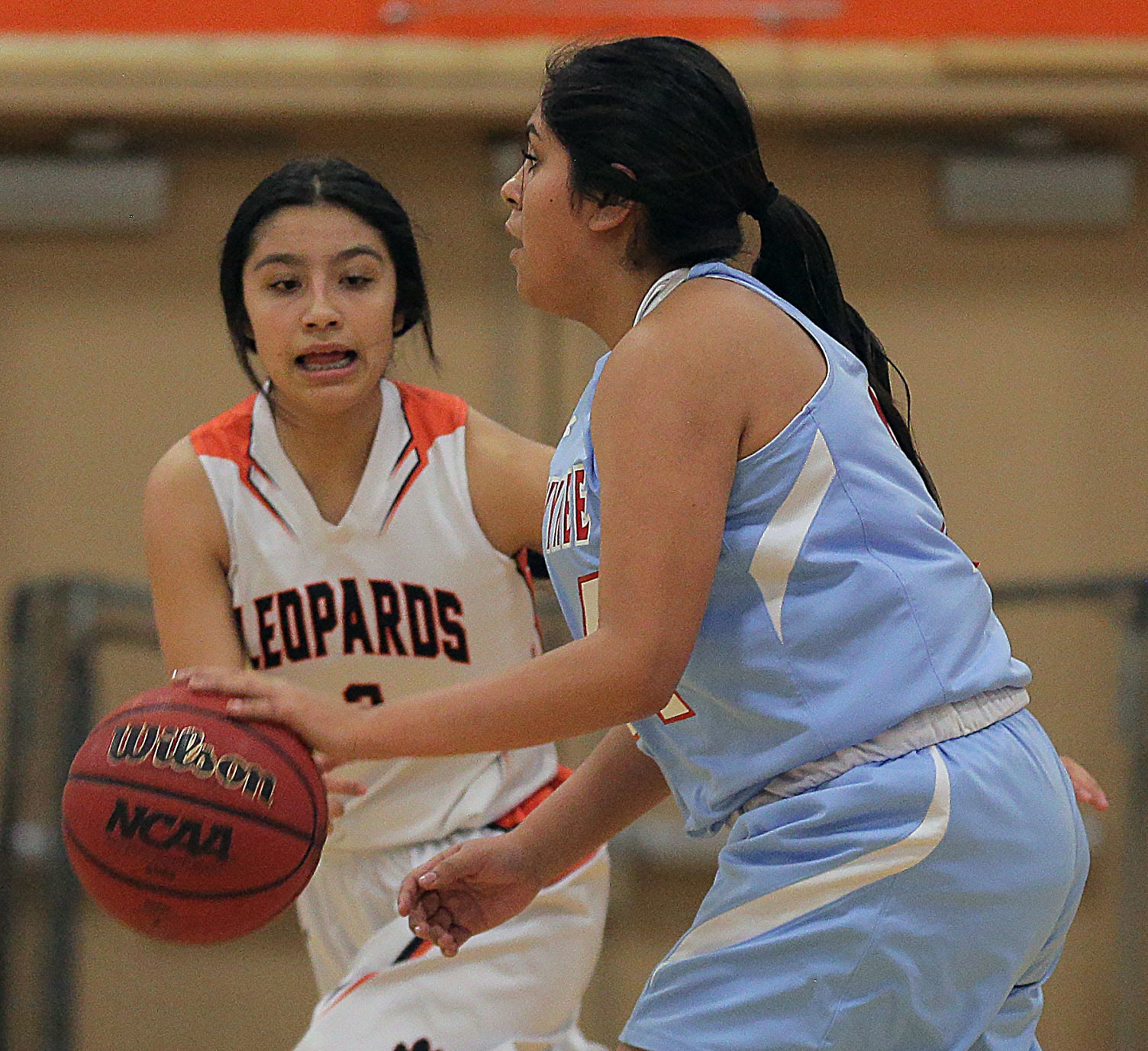 Owyhee at Wells Girls Basketball (20).jpg